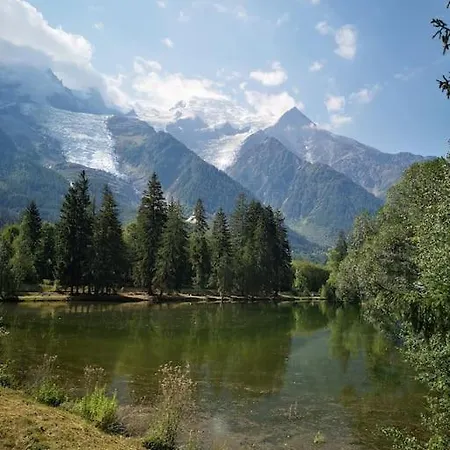 Apartment Chamonix, De 24 M2 *