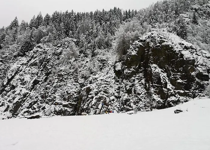 Apartment Chamonix, De 24 M2 *